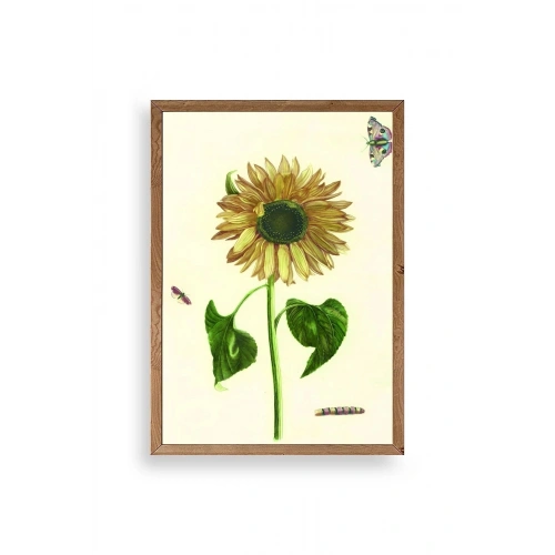 Ayçiçeği Ahşap Çerçeveli Tablo 30 x 42