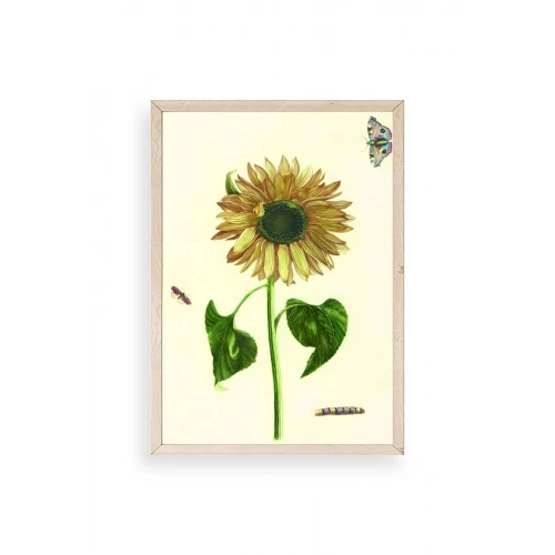 Ayçiçeği Ahşap Çerçeveli Tablo 30 x 42