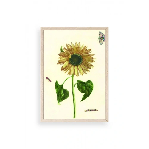 Ayçiçeği Ahşap Çerçeveli Tablo 30 x 42