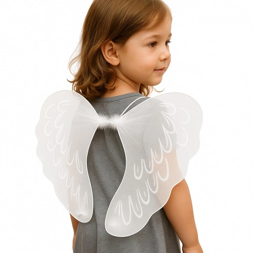 Baby &amp;amp; Child Fairy Wings - Costume Accessory Wings 35x45 cm (5365)