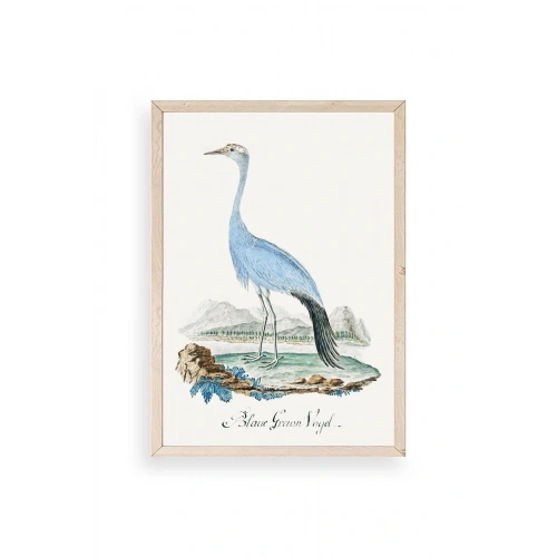 Blaue G. Voyel Ahşap Çerçeveli Tablo 17 x 23