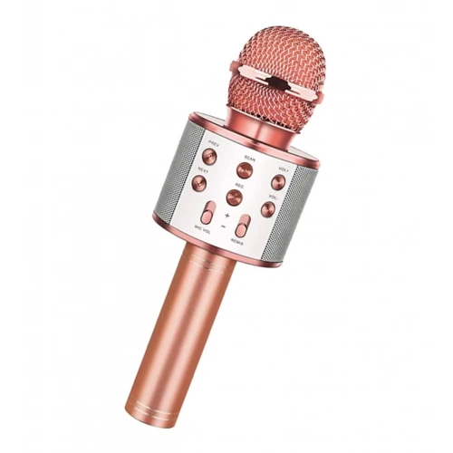 Bluetooth Karaoke Mikrofon (5365)