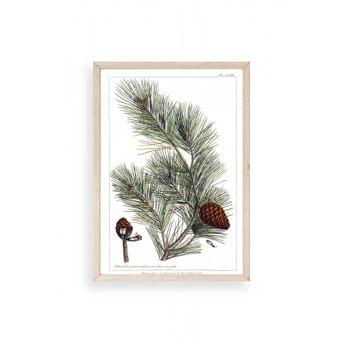 Çam Ahşap Çerçeveli Tablo 30 x 42