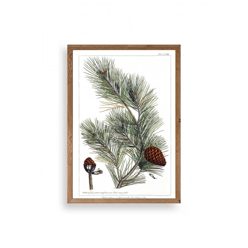 Çam Ahşap Çerçeveli Tablo 30 x 42