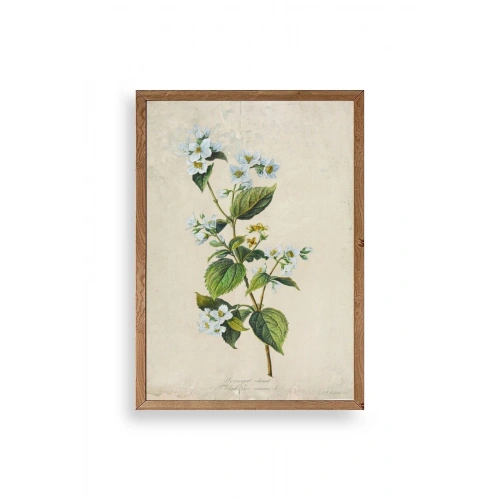 Çiçek Ahşap Çerçeveli Tablo 17 x 23