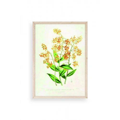 Çiçek Ahşap Çerçeveli Tablo 23 x 30