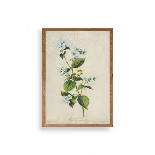 Çiçek Ahşap Çerçeveli Tablo 23 x 30