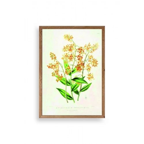 Çiçek Ahşap Çerçeveli Tablo 30 x 42