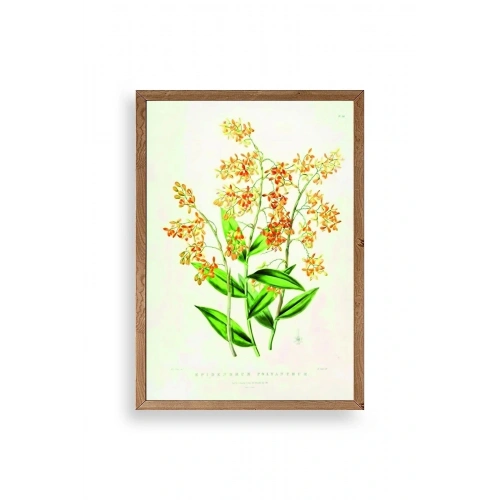 Çiçek Ahşap Çerçeveli Tablo 30 x 42