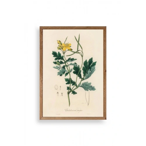 Çiçek Ahşap Çerçeveli Tablo 30 x 42