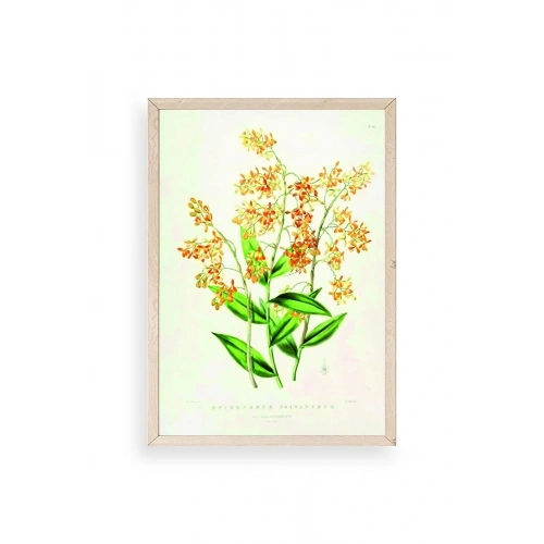 Çiçek Ahşap Çerçeveli Tablo 50 x 70