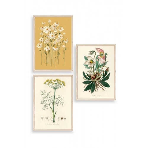 Çiçek Üçlü Ahşap Çerçeveli Tablo 23 x 30