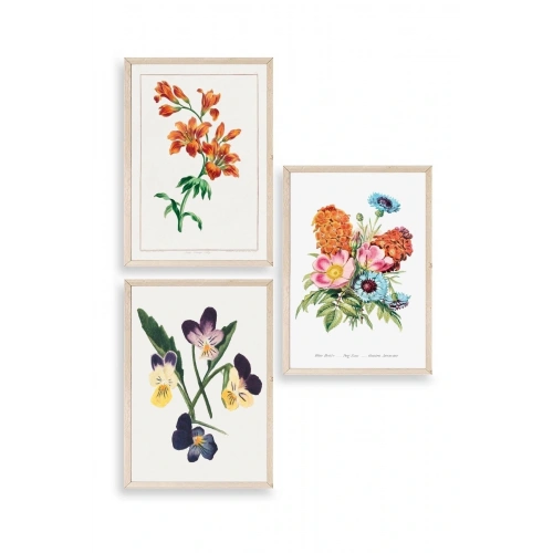 Çiçek Üçlü Ahşap Çerçeveli Tablo 23 x 30