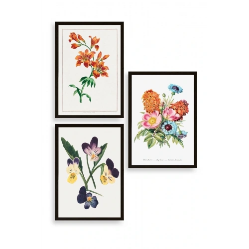 Çiçek Üçlü Ahşap Çerçeveli Tablo 30 x 40