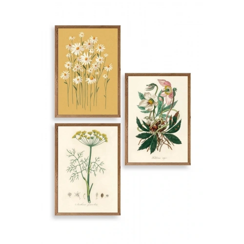 Çiçek Üçlü Ahşap Çerçeveli Tablo 50 x 70