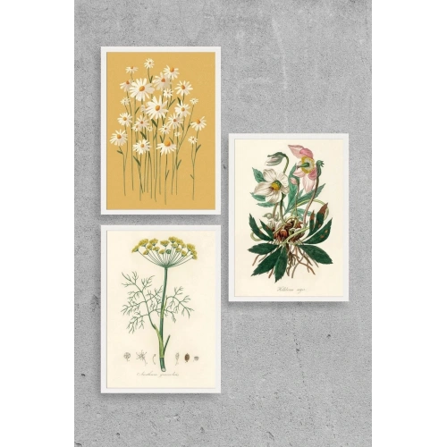 Çiçek Üçlü Ahşap Çerçeveli Tablo 50 x 70