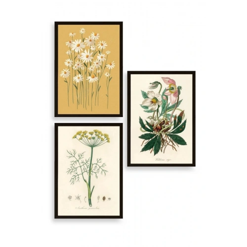 Çiçek Üçlü Ahşap Çerçeveli Tablo 50 x 70