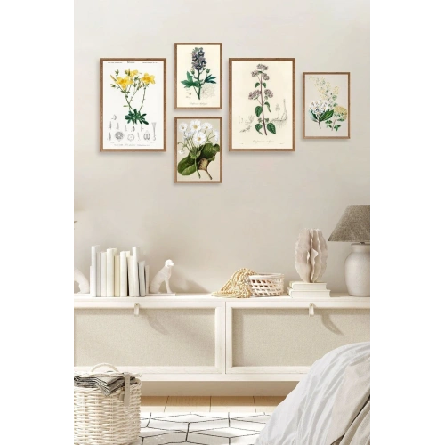 Çiçekler 5li Tablo 30 x 40