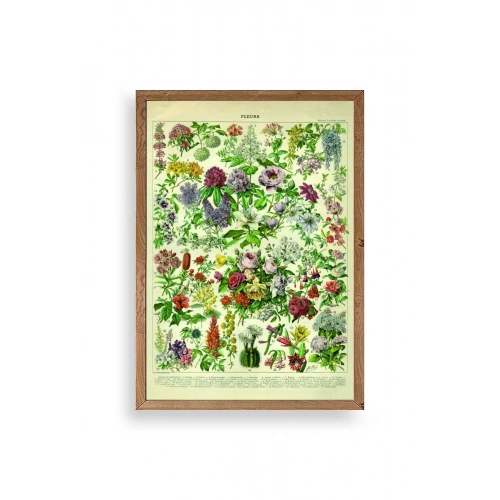 Çiçekler Ahşap Çerçeveli Tablo 17 x 23