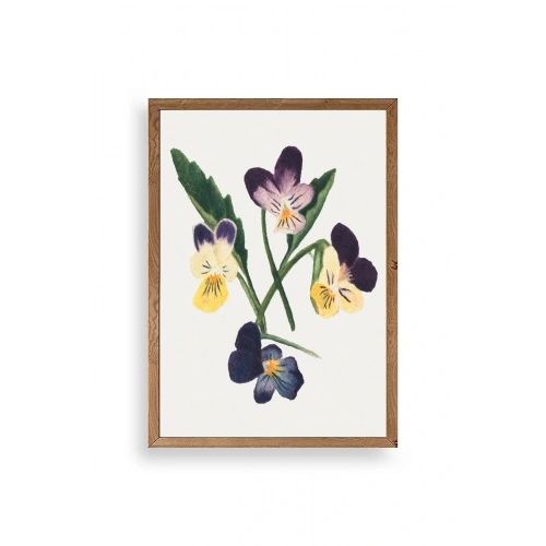 Çiçekler Ahşap Çerçeveli Tablo 23 x 30