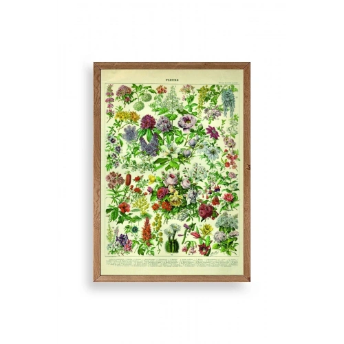 Çiçekler Ahşap Çerçeveli Tablo 30 x 42