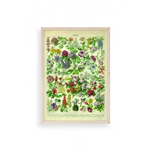 Çiçekler Ahşap Çerçeveli Tablo 30 x 42