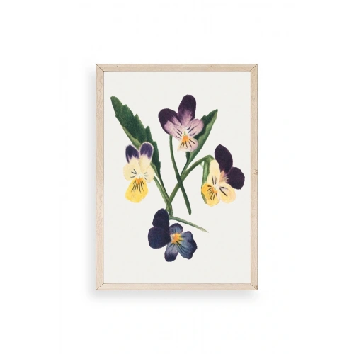 Çiçekler Ahşap Çerçeveli Tablo 50 x 70