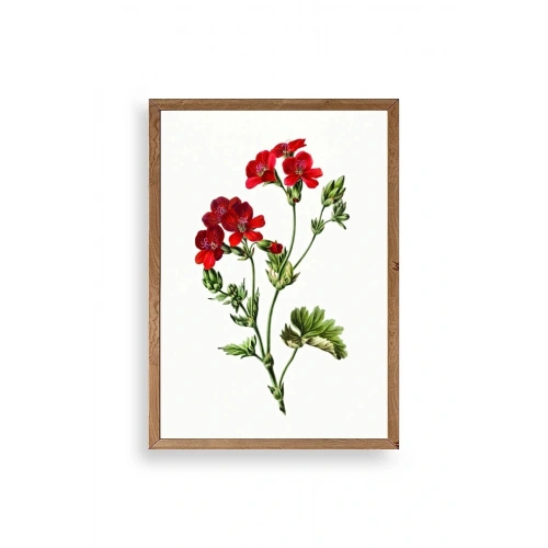 Çiçekler Ahşap Çerçeveli Tablo 50 x 70