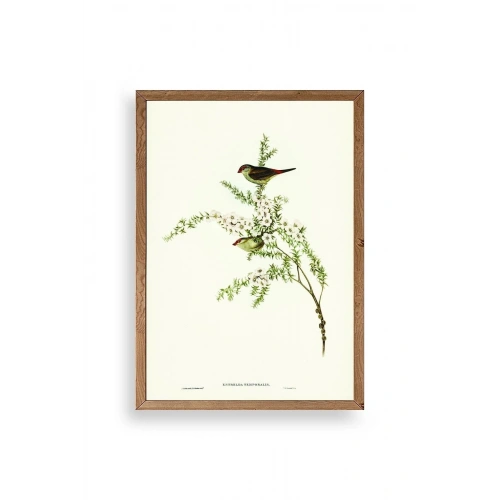 Daldaki Kuş Ahşap Çerçeveli Tablo 17 x 23