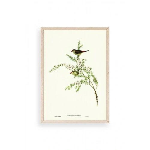 Daldaki Kuş Ahşap Çerçeveli Tablo 30 x 42