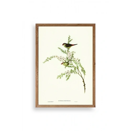 Daldaki Kuş Ahşap Çerçeveli Tablo 30 x 42