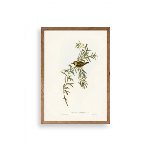 Daldaki Kuş Ahşap Çerçeveli Tablo 50 x 70