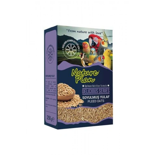 Delicious Soyulmuş Yulaf 250 Gr