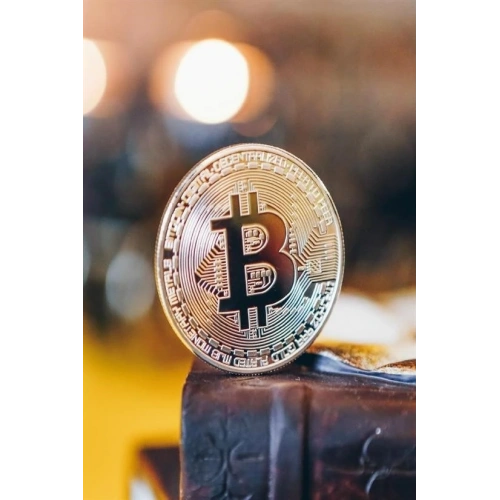 Durukar® Bitcoin Madeni Hatıra Parası Madeni Bitcoin Hediye Sikke Para
