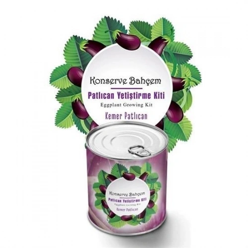 Durukar® Canned Garden Eggplant Growing Kit at Home in a Can