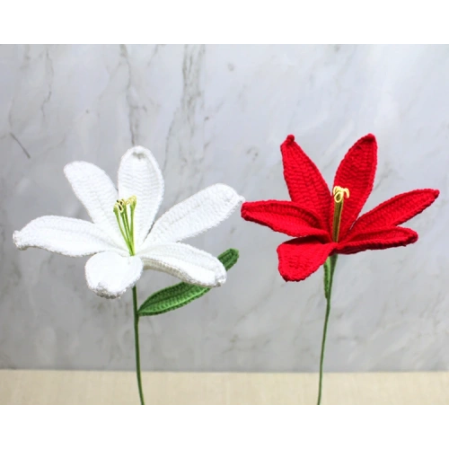 El Örgüsü Zambak Çiçeği