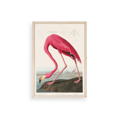 Flamingo Ahşap Çerçeveli Tablo 23 x 30