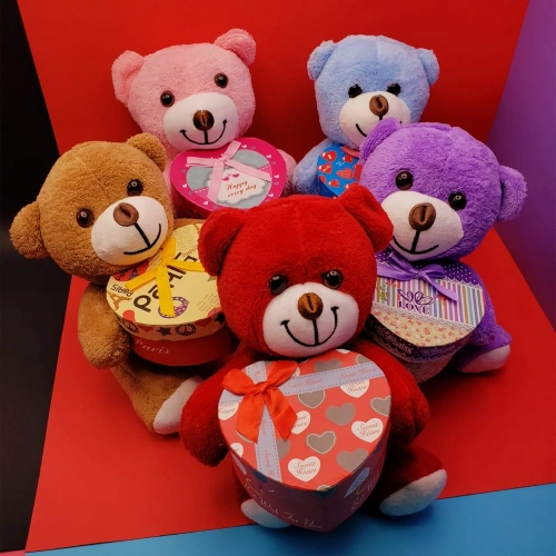 Gift Boxed Teddy Bear