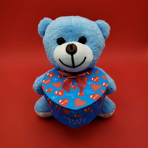 Gift Blue Boxed Teddy Bear