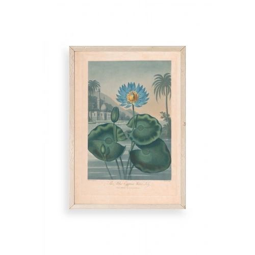 Joseph Constantine Ahşap Çerçeveli Tablo 17 x 23