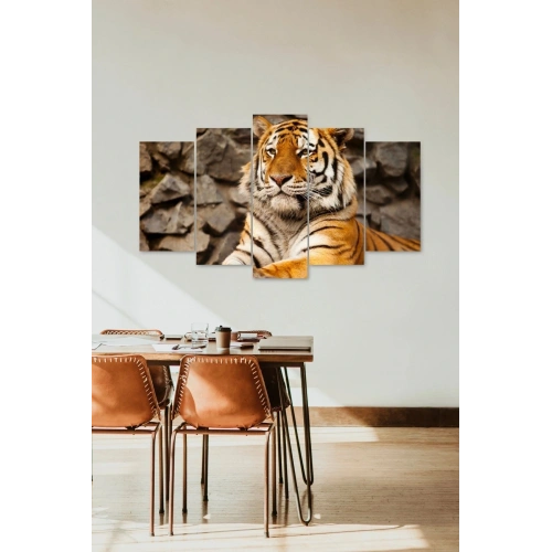 Kaplan Portresi 5 Parçalı Mdf Tablo 60 x 100