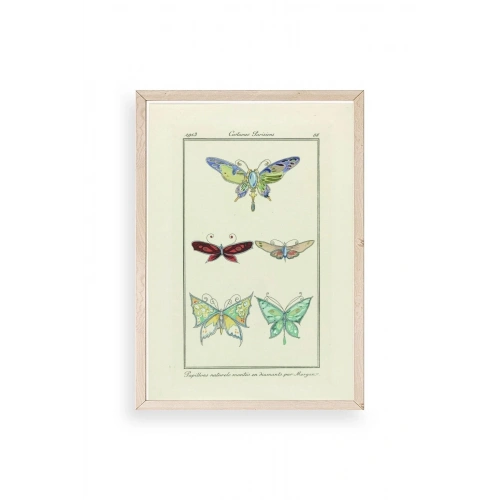 Kelebek Ahşap Çerçeveli Tablo 30 x 42