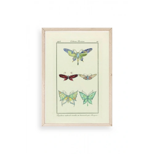 Kelebek Ahşap Çerçeveli Tablo 50 x 70