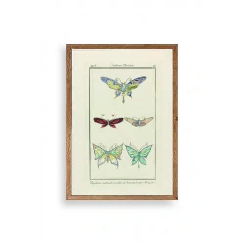 Kelebek Ahşap Çerçeveli Tablo 50 x 70