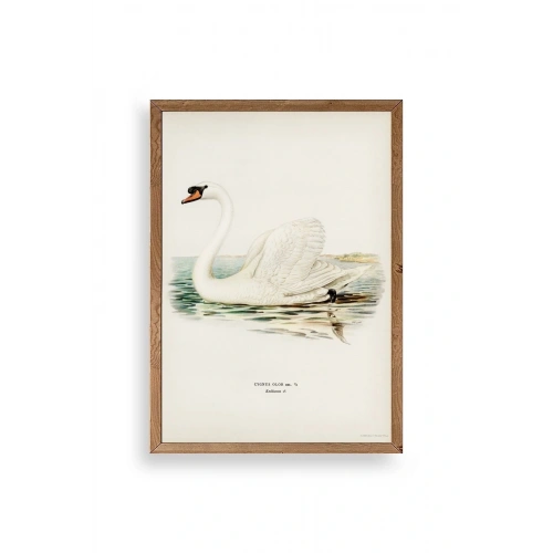 Kuğu Ahşap Çerçeveli Tablo 17 x 23