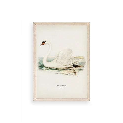 Kuğu Ahşap Çerçeveli Tablo 30 x 42