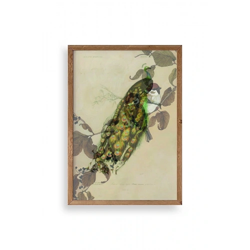 Kuş Ahşap Çerçeveli Tablo 17 x 23