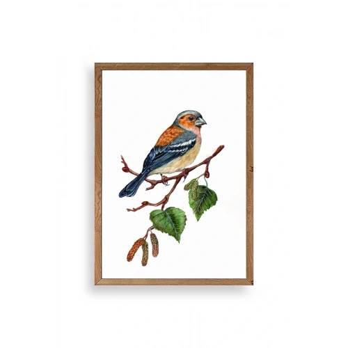 Kuş Ahşap Çerçeveli Tablo 17 x 23