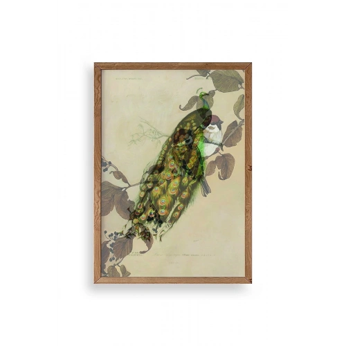 Kuş Ahşap Çerçeveli Tablo 30 x 42