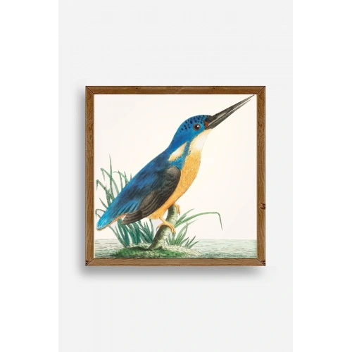 Kuş Ahşap Çerçeveli Tablo 42 x 42